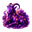 Koza
